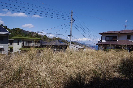 土地 その他