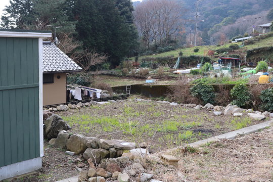戸建
