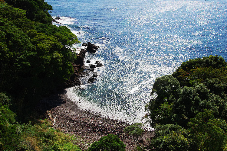 マンション専有部分