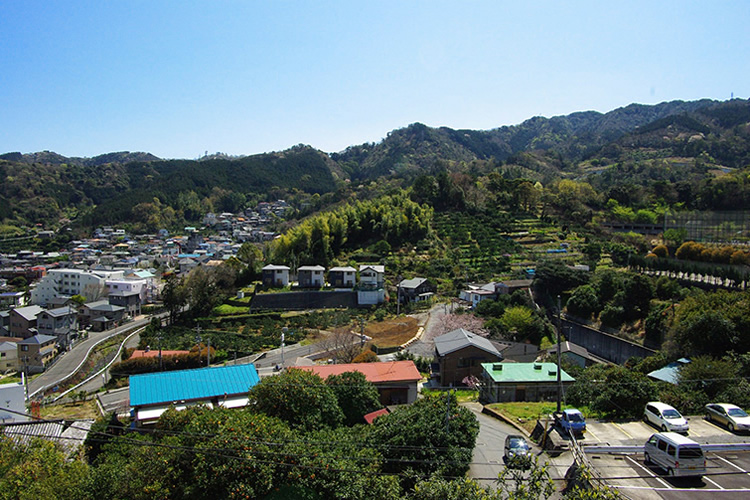 マンション共有部分