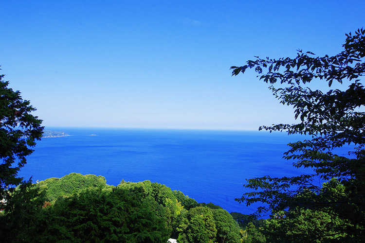 戸建 熱海・南箱根